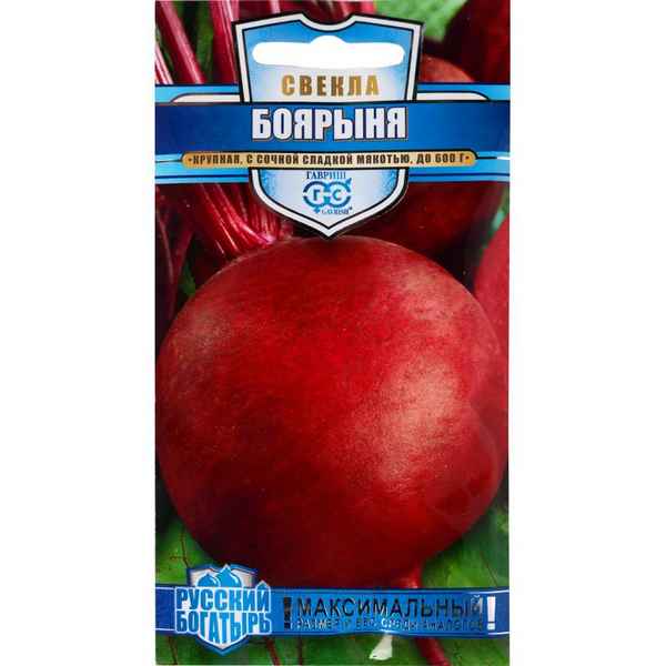 свекла боярыня: отзывы, описание сорта, фото