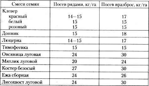 люцерна посевная когда сеять: с чем и как сажать люцерну весной, норма высева на 1 сотку + фото растения