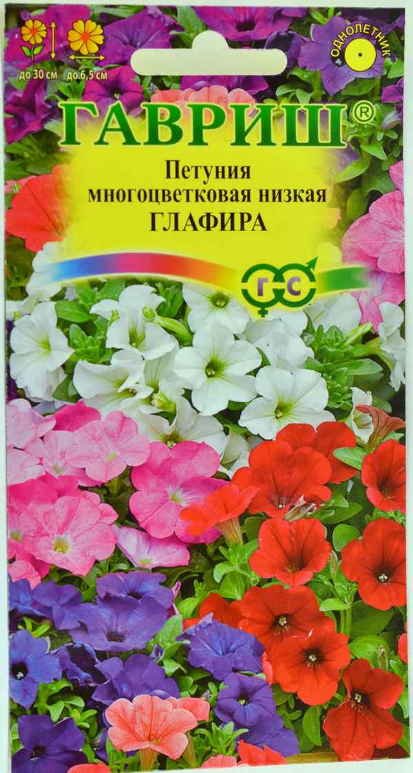 петуния глафира многоцветковая низкая: фото, отзывы, хаpaктеристика сорта