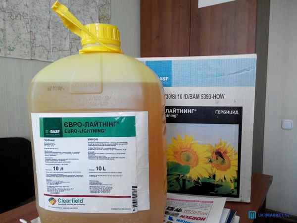 гербициды, фунгициды и удобрение для подсолнечника: правильный уход за подсолнухом + видео