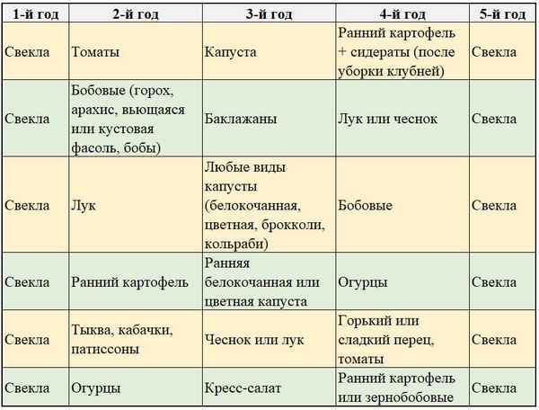 что сажать после свеклы на следующий год
