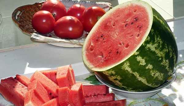 арбуз и арбузные корки: польза и вред для здоровья и организма человека + видео