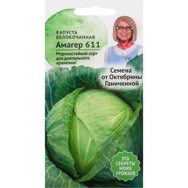 капуста амагер: описание сорта, фото, отзывы