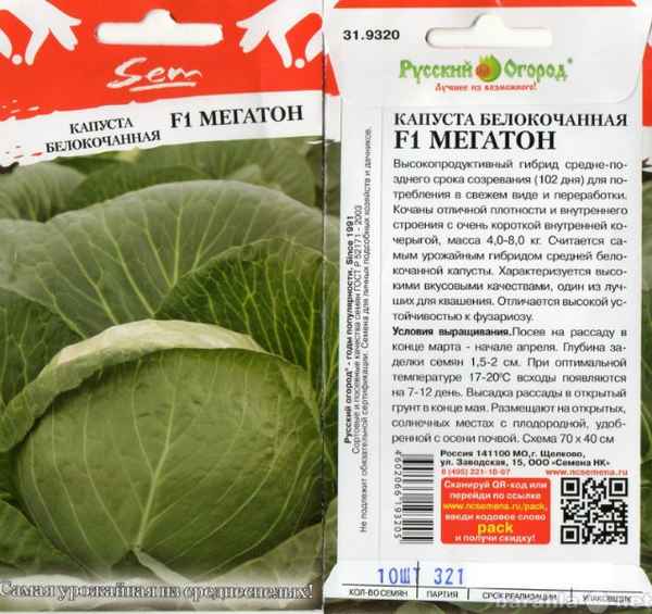 капуста мегатон: описание сорта, фото, отзывы