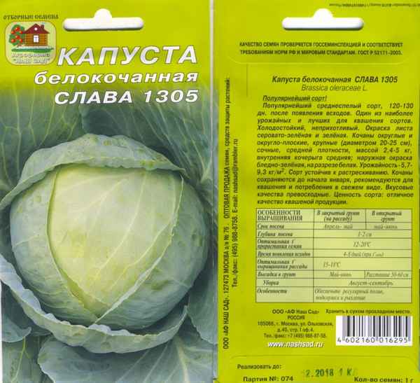 капуста слава: описание сорта, фото, отзывы тех, то сажал