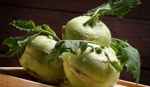 кольраби польза и вред, лечебные свойства, рецепты приготовления + фото