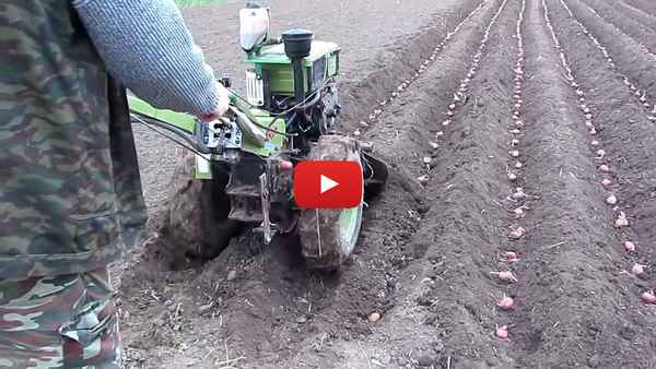 посадка картофеля мотоблоком: особенности, технология, видео