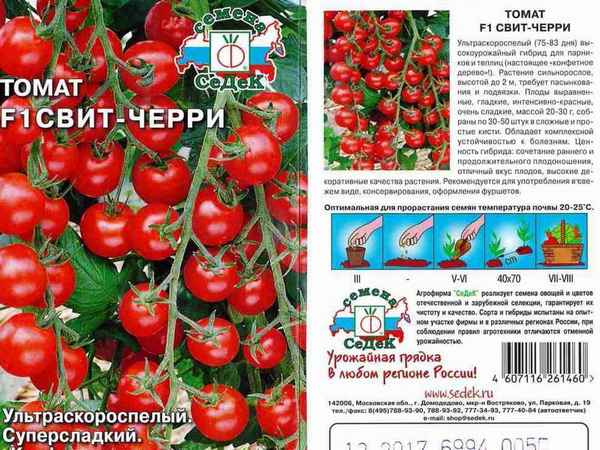 томат черри: хаpaктеристика и описание сорта, отзывы, фото