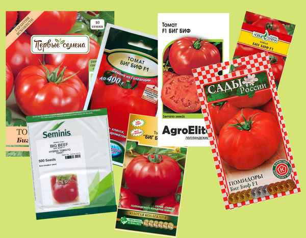 помидоры биф: что это такое, описание и хаpaктеристики, сорта, фото