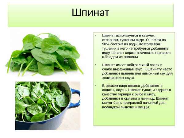 шпинат и щавель это одно и тоже или нет, в чем разница