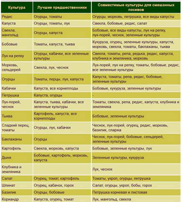 с чем можно сажать свеклу рядом на одной грядке