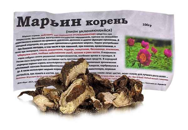 марьин корень лечебные свойства и противопоказания, отзывы и рецепты, когда собирать