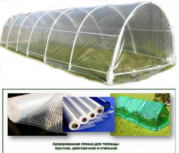 Армирующая пленка для теплиц: какую пленку выбрать и купить для теплицы