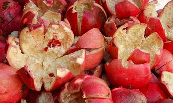 Кожура граната: лечебные свойства и рецепты применения полезной гранатовой корки