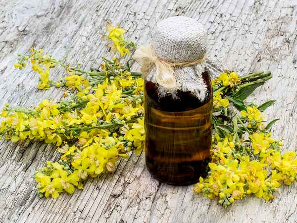 Полезные свойства рыжикового масла и противопоказания + видео и фото