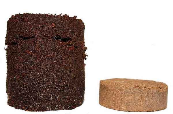 Как пользоваться кокосовой стружкой для рассады + фото