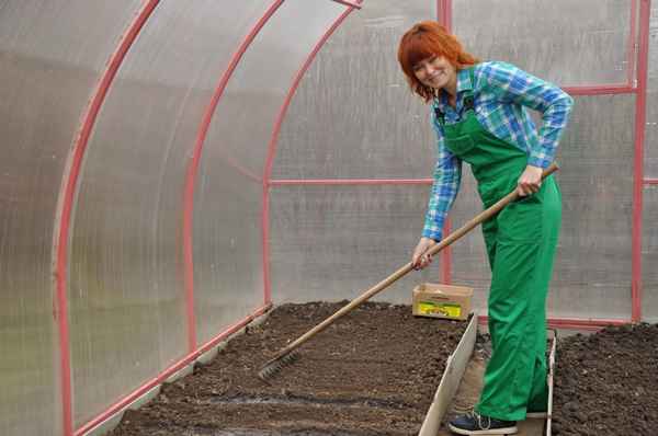 Подготовка теплицы весной к посадке: видео + фото
