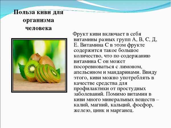 Фрукт киви: польза и вред для организма человека