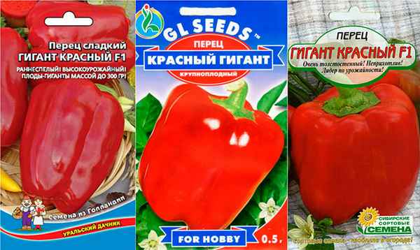 Сорт перца красный гигант f1: фото, отзывы, описание и хаpaктеристики