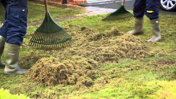 Подготовка газона к зиме + фото и видео