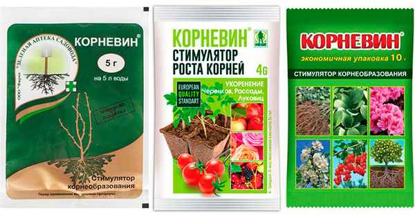 Инструкция по применению корневина для рассады и для комнатных растений + видео