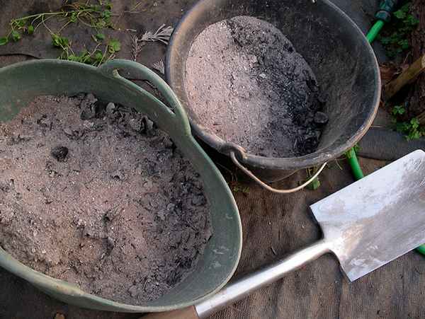Применение древесной золы на огороде и в саду + видео