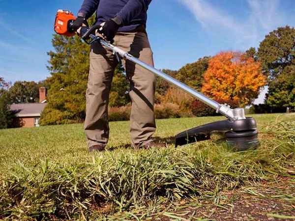 Когда последний раз стричь газон перед зимой