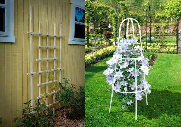 Делаем опоры для клематисов своими руками + фото