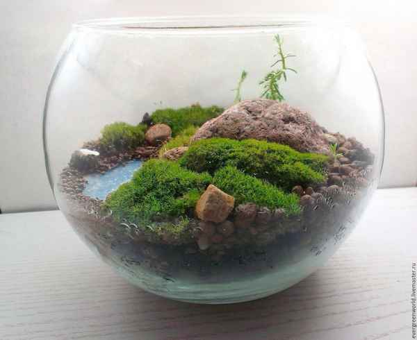 Делаем флорариум своими руками - мастер-класс для начинающих с пошаговым видео
