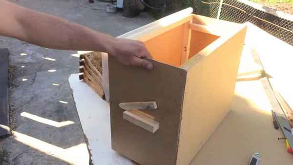 Ловушка для пчёл своими руками: чертежи, фото, видео