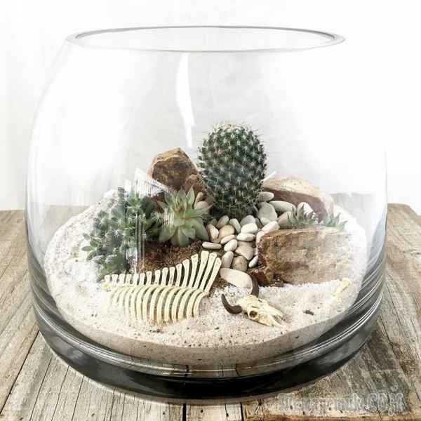 Делаем флорариум с суккулентами своими руками: пошаговая инструкция с фото