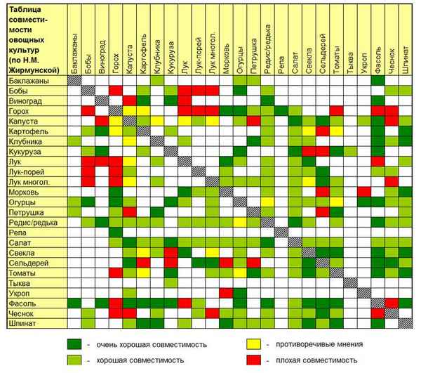 Соседство плодовых деревьев и кустарников - таблица совместимости