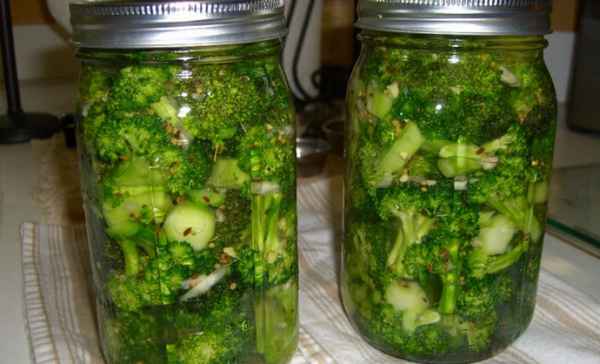 Заготовки из капусты брокколи на зиму: лучшие рецепты