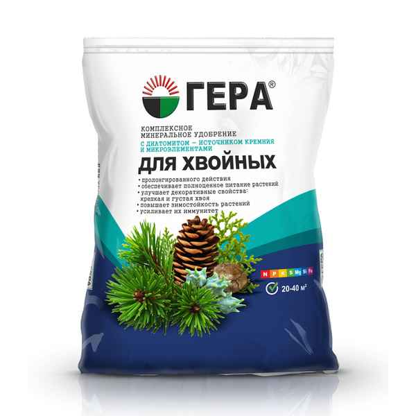 Подкормка для хвойных растений: минеральные и комплексные удобрения