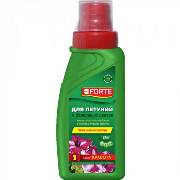 Подкормка петуний для обильного цветения - лучшие удобрения и препараты