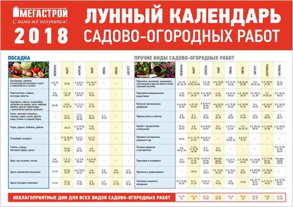 Посадка баклажанов на рассаду в 2018 году по лунному календарю