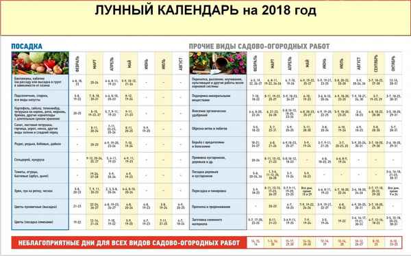 Посадка помидор на рассаду в 2018 году по лунному календарю