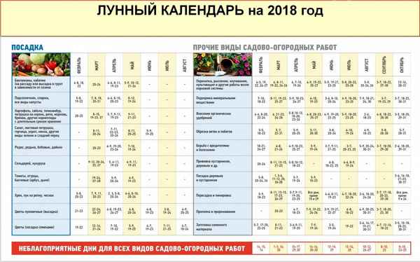 Посадка петунии на рассаду в 2018 году по лунному календарю