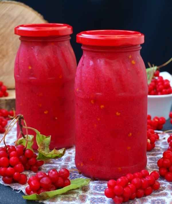 Заготовка лимонника на зиму в домашних условиях: рецепты с варкой и без + фото