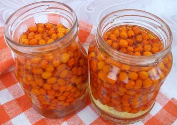 Заготовка облепихи на зиму в домашних условиях: лучшие рецепты + фото