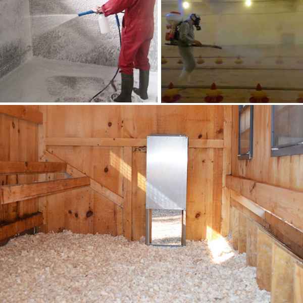 Дезинфекция курятника своими руками: пошаговая инструкция, фото, видео