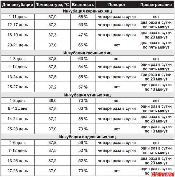 Инкубация гусиных яиц в домашних условиях — правила проведения, температурный режим, таблица