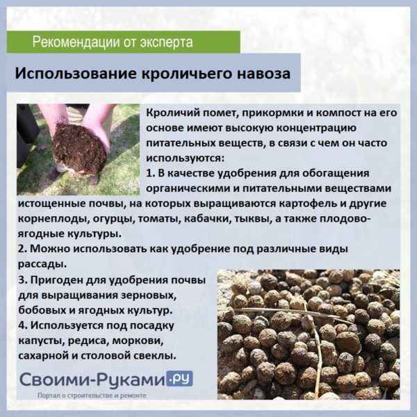 Кроличий навоз как удобрение: отзывы о применении
