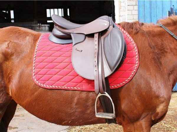Как сделать седло для лошади своими руками: виды и правильный выбор (фото)