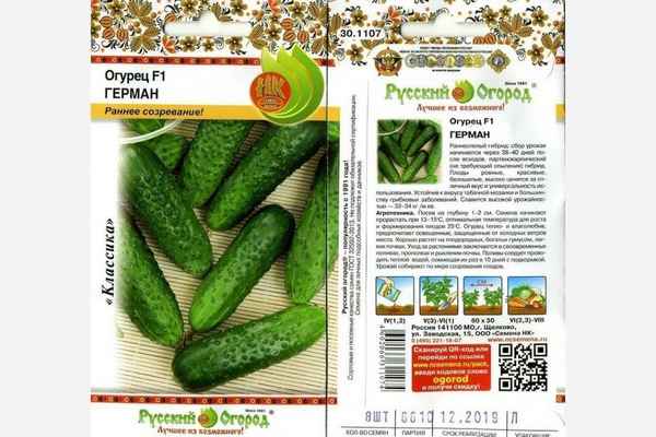 Огурцы сорта Герман - отзывы, фото, урожайность и хаpaктеристика