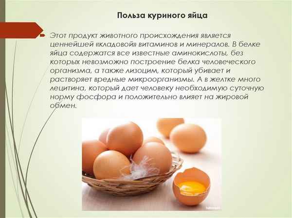 Куриные яйца польза и вред - чем полезно яйцо для организма человека
