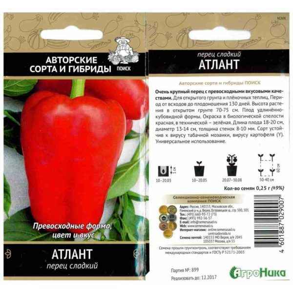 Перец атлант: хаpaктеристика и описание сорта, отзывы, фото