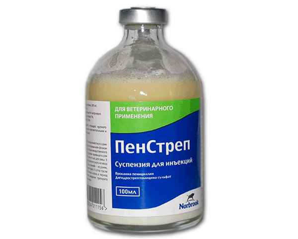 Пенстреп - инструкция по применению в ветеринарии для животных, дозировка