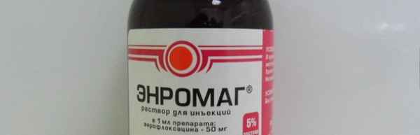 Энромаг - инструкция по применению в ветеринарии для животных, отзывы, дозировка