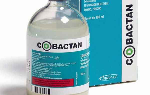 Кобактан - инструкция по применению в ветеринарии, дозировка препарата, состав